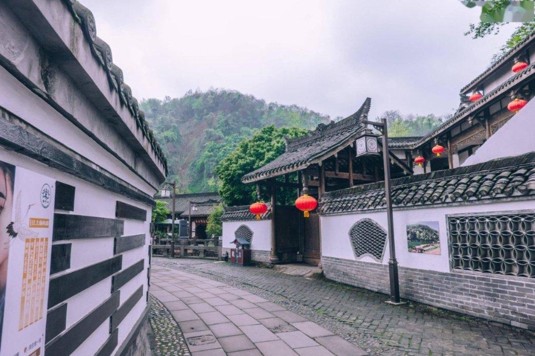 寻找迷路的松鼠